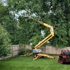 Leaf Removal in St Jaco, IL